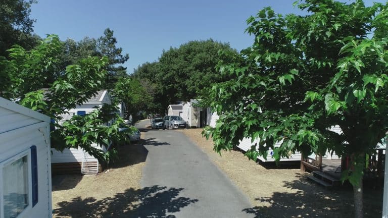 Allée de mobil-homes sous les arbres, journée ensoleillée.